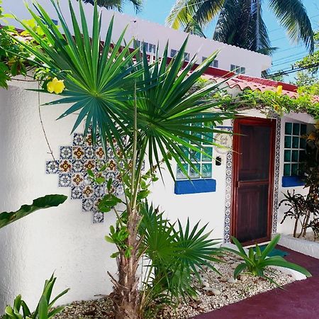 Beautiful & Cozy Studio In Akumal Paradise-Wifi, Ac Exterior foto