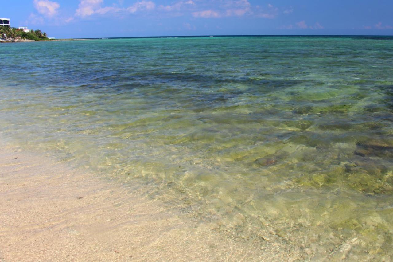 Beautiful & Cozy Studio In Akumal Paradise-Wifi, Ac Exterior foto