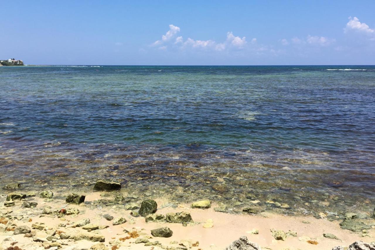 Beautiful & Cozy Studio In Akumal Paradise-Wifi, Ac Exterior foto